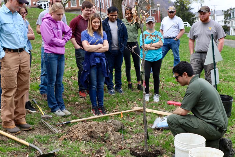 WVU Potomac State College Ag Club participating in a tree digging demonstration on campus 